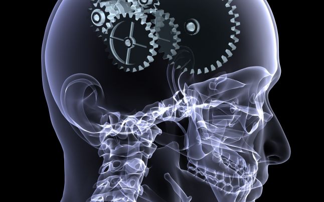 секс и интеллект